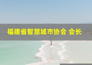 福建省智慧城市协会 会长